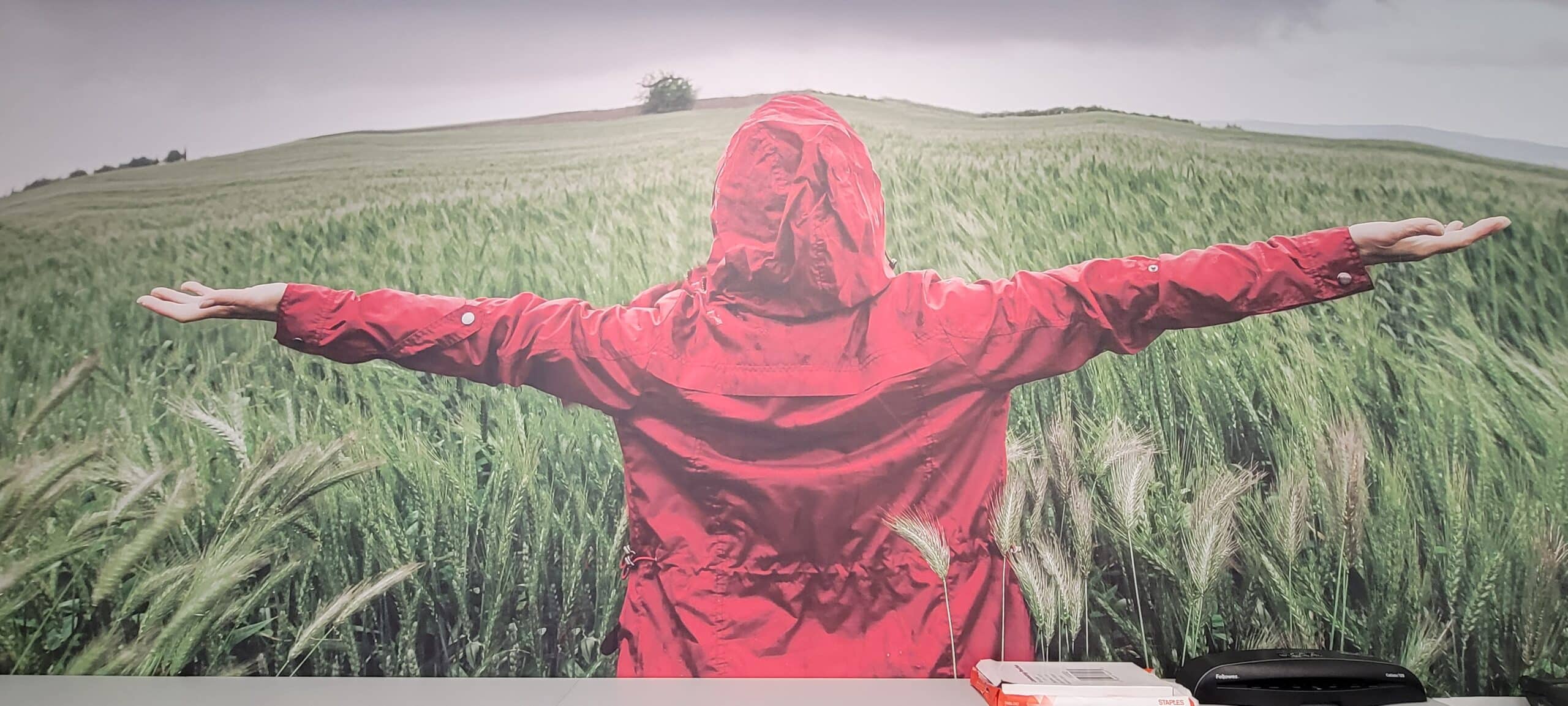Red jacket wheat field mural, Kerry, Rome, GA, by High Stakes Creative