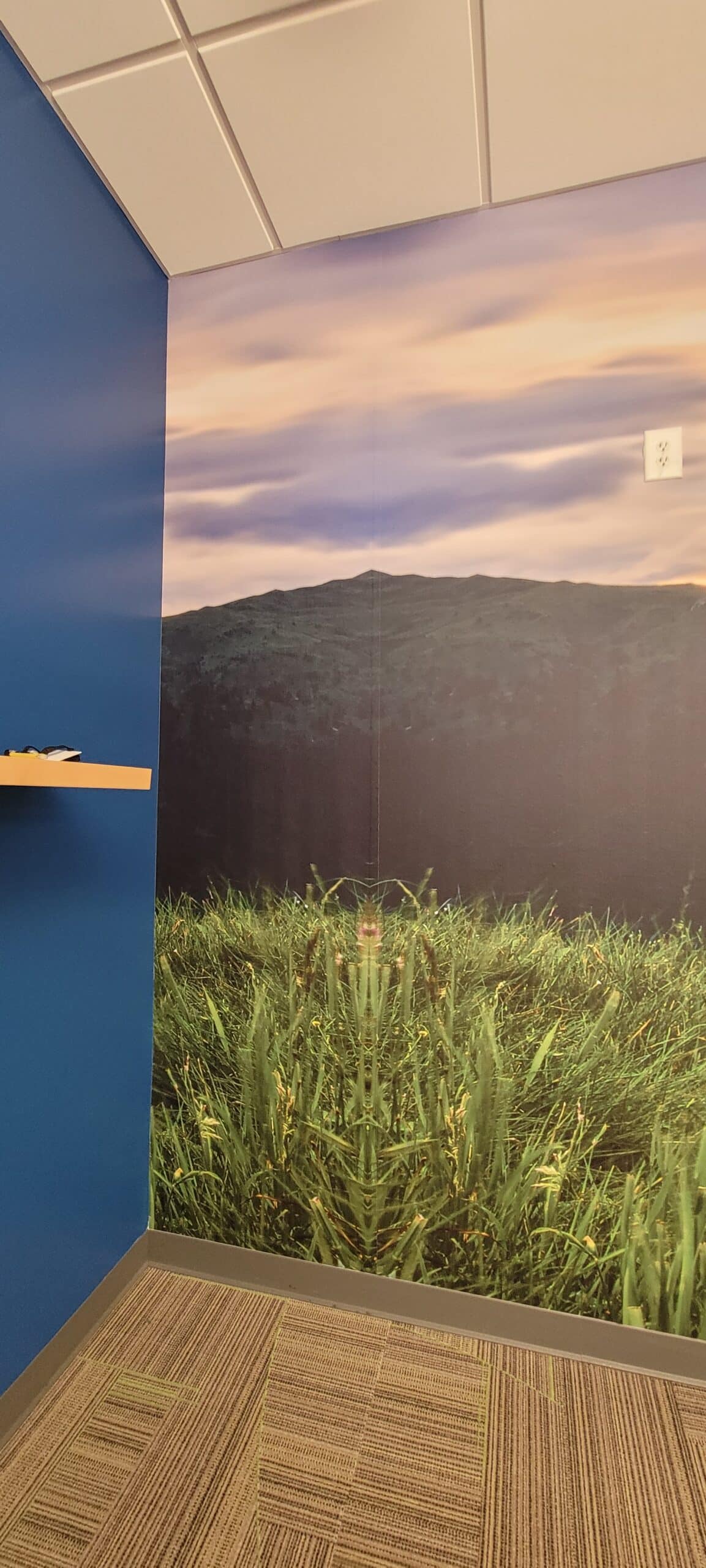 Sunset field wall mural, Kerry, Rome, GA, by High Stakes Creative