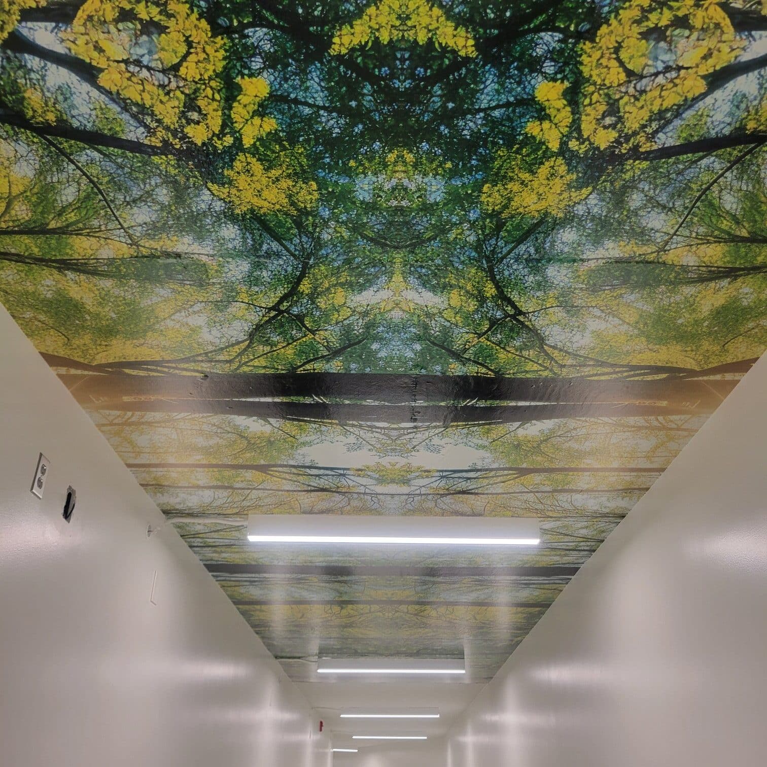 Forest canopy ceiling graphic, by High Stakes Creative