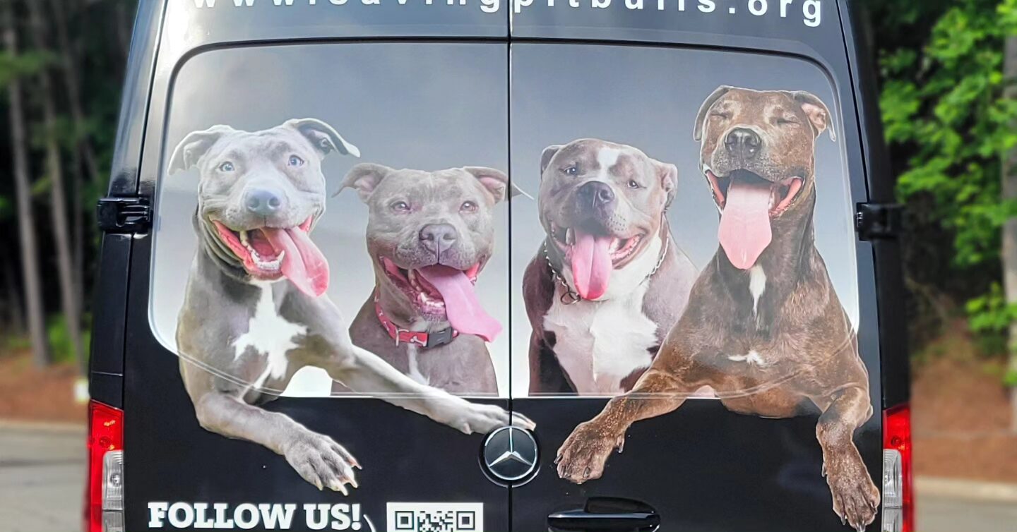 Van rear door graphic, Friends to the Forlorn Pitbull Rescue, Dallas, GA, by High Stakes Creative