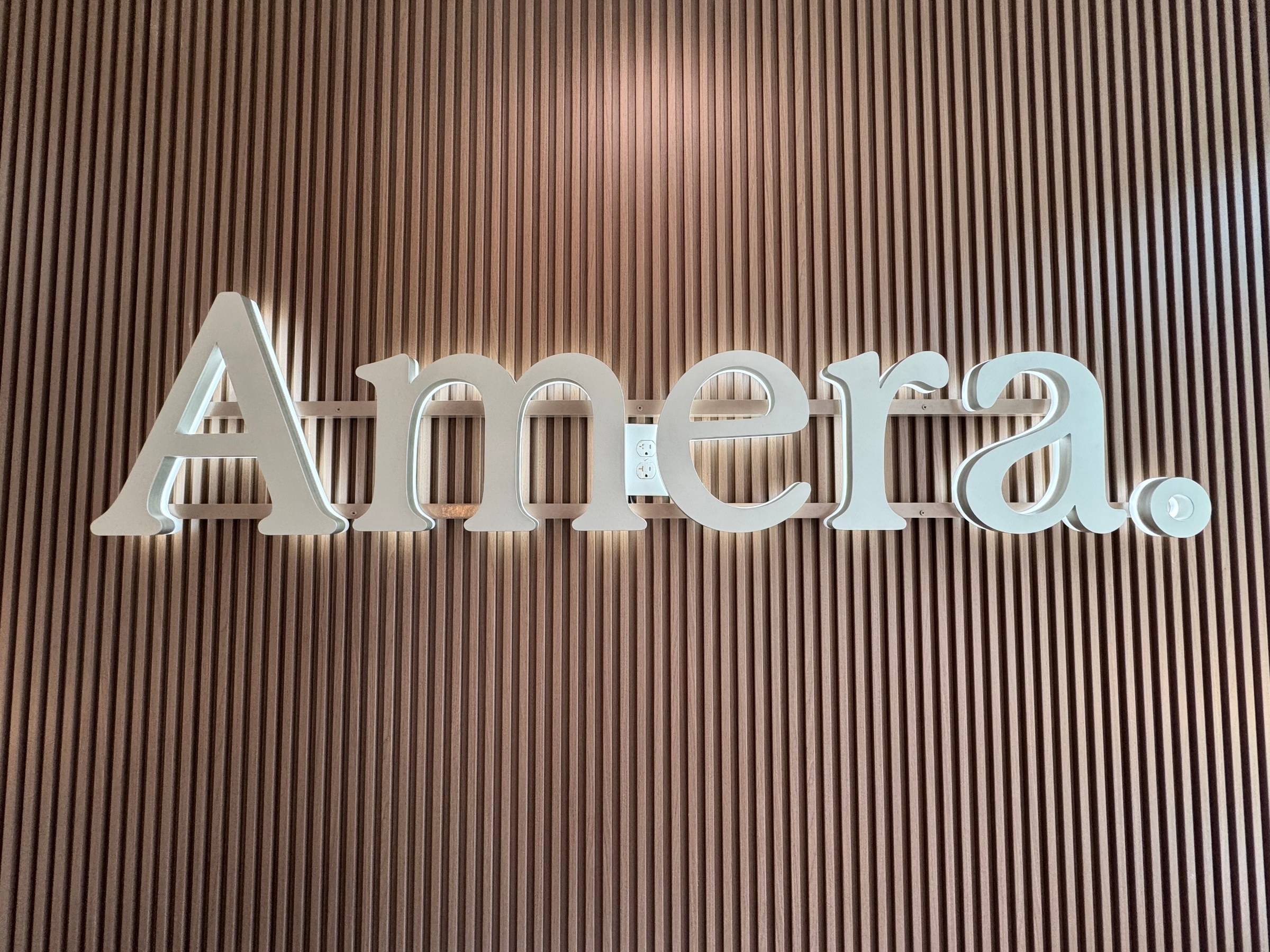 Dimensional lobby logo on slat wall, Amera, Kennesaw, GA, by High Stakes Creative