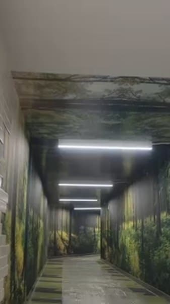 Video: Forest tunnel wall wrap
