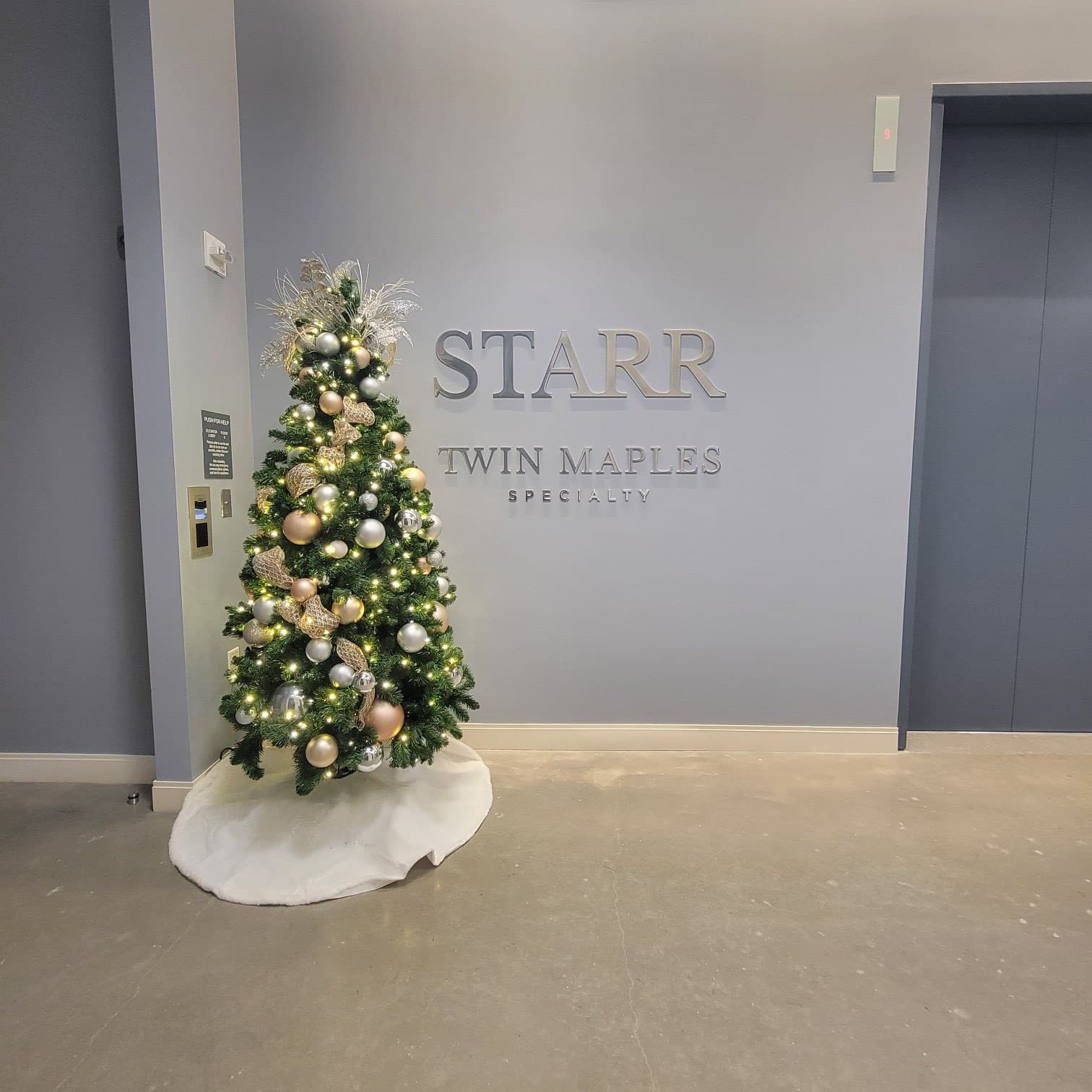 Dimensional lobby letters on gray wall, STARR Twin Maples Specialty, by High Stakes Creative