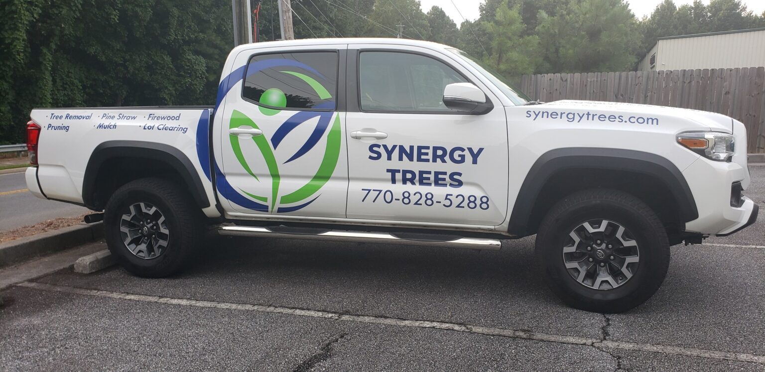 Large logo, services and phone graphics on a white Toyota Tacoma, driver side, Synergy Trees, by High Stakes Creative