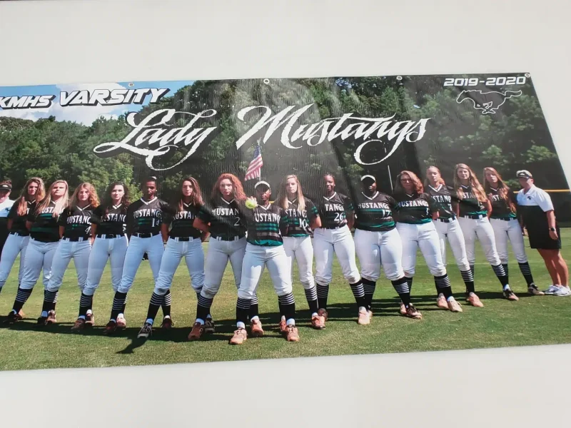Lady Mustangs varsity softball team group photo, showcasing players in uniforms with "Mustang" text, standing on a field, featuring vibrant colors and a clear banner design.
